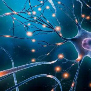 Neurotransmissores – A Química da Depressão